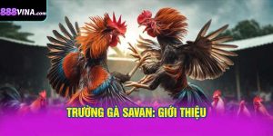 Trường Gà Savan: Giới Thiệu
